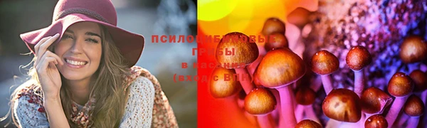 кокс Корсаков