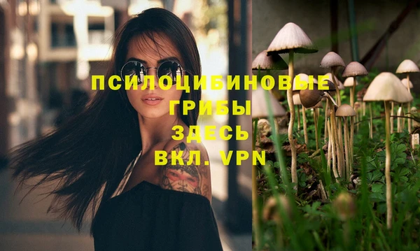 экстази Коряжма